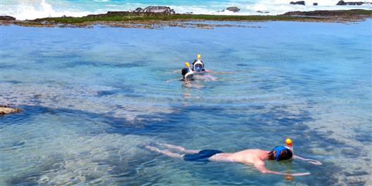 Morukuru Beach Lodge